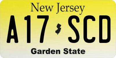 NJ license plate A17SCD