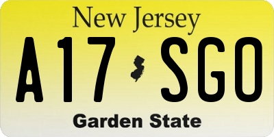 NJ license plate A17SGO