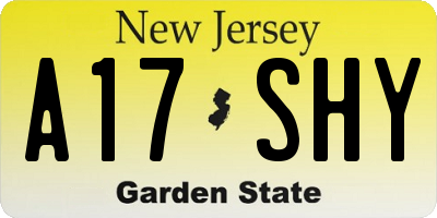 NJ license plate A17SHY