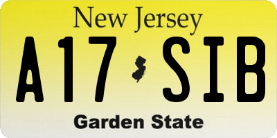 NJ license plate A17SIB
