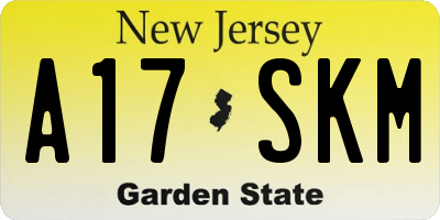 NJ license plate A17SKM