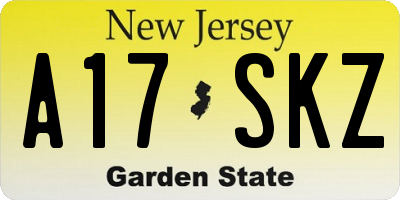 NJ license plate A17SKZ