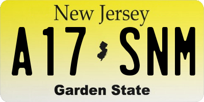 NJ license plate A17SNM