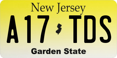 NJ license plate A17TDS