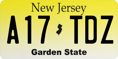 NJ license plate A17TDZ