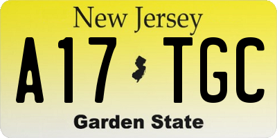 NJ license plate A17TGC