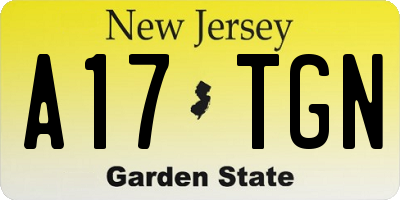 NJ license plate A17TGN
