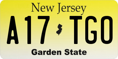 NJ license plate A17TGO