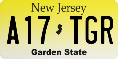 NJ license plate A17TGR