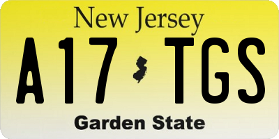 NJ license plate A17TGS