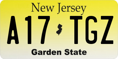 NJ license plate A17TGZ