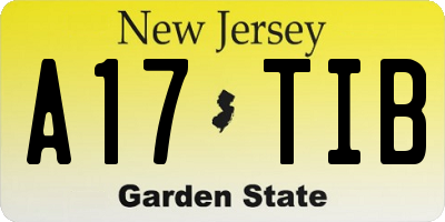 NJ license plate A17TIB