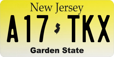 NJ license plate A17TKX
