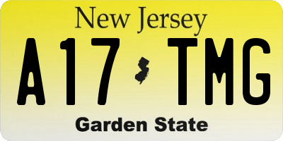 NJ license plate A17TMG