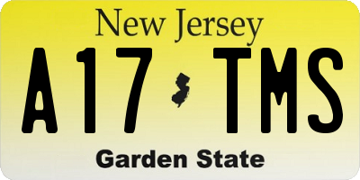 NJ license plate A17TMS