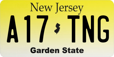 NJ license plate A17TNG