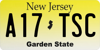 NJ license plate A17TSC