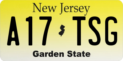 NJ license plate A17TSG