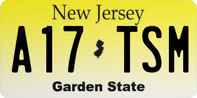 NJ license plate A17TSM