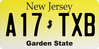 NJ license plate A17TXB