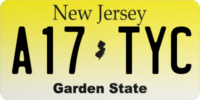 NJ license plate A17TYC