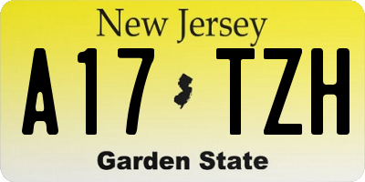 NJ license plate A17TZH