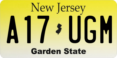 NJ license plate A17UGM