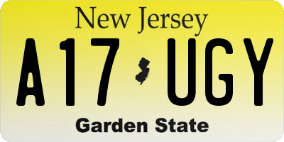 NJ license plate A17UGY
