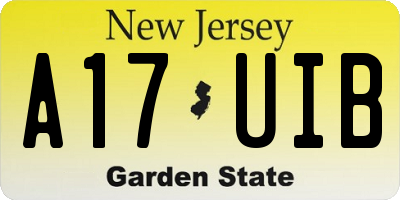 NJ license plate A17UIB