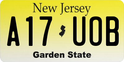 NJ license plate A17UOB