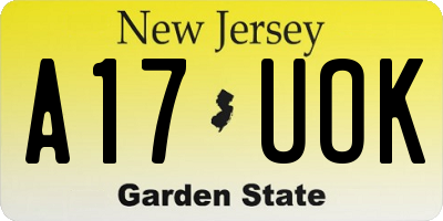 NJ license plate A17UOK