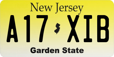 NJ license plate A17XIB