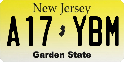 NJ license plate A17YBM