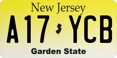 NJ license plate A17YCB