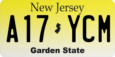 NJ license plate A17YCM