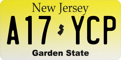 NJ license plate A17YCP