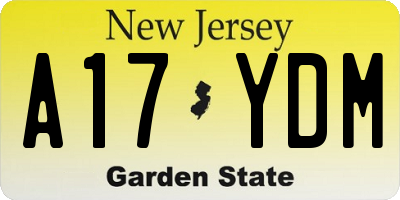 NJ license plate A17YDM