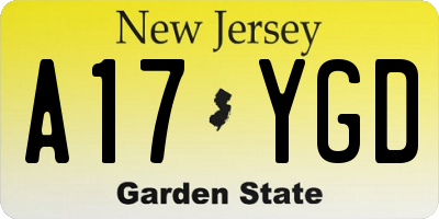 NJ license plate A17YGD