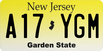 NJ license plate A17YGM