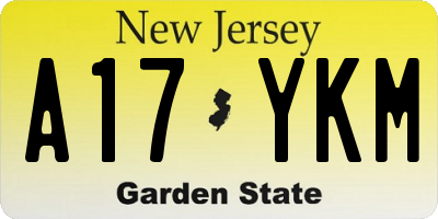 NJ license plate A17YKM