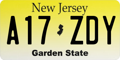 NJ license plate A17ZDY
