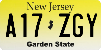 NJ license plate A17ZGY