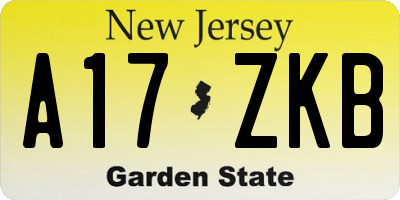 NJ license plate A17ZKB