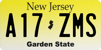 NJ license plate A17ZMS