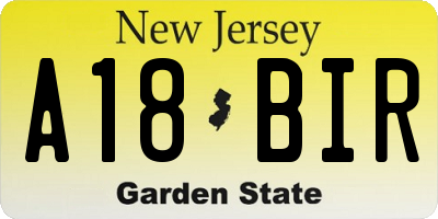 NJ license plate A18BIR