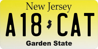 NJ license plate A18CAT