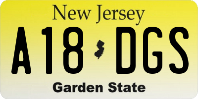 NJ license plate A18DGS