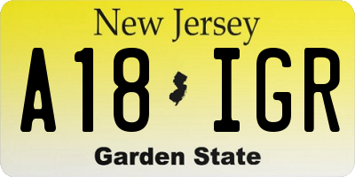 NJ license plate A18IGR
