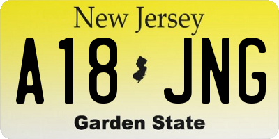 NJ license plate A18JNG