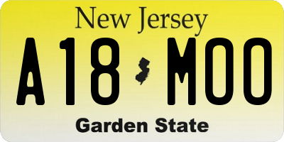NJ license plate A18MOO